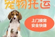 宠物猫狗运输:河北张家口宠物狗狗托运宠物托运运输费用