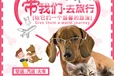 宠物猫运输专车:张家口宠物狗狗托运宠物托运运输费用
