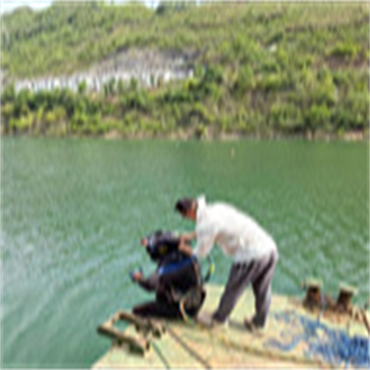 正陽(yáng)水下作業(yè)價(jià)格 水下救援電話(huà)