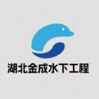洛陽 潛水公司 水下拆除 從業(yè)20年