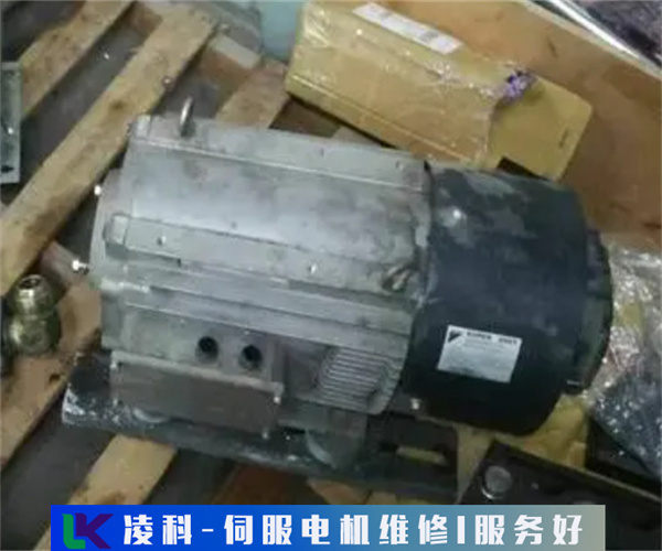 強磁伺服電機維修技術高