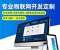 辽宁盘锦嵌入式开发厂家-云彩科技