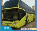 线路）吉林到青岛长途直达汽车票价图片