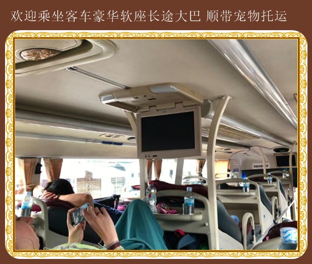 敦化到萊州臥鋪大巴服務至上