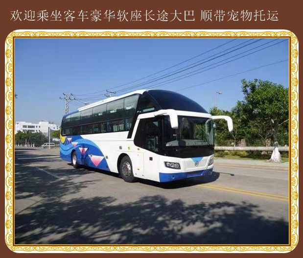 客車:呼和浩特到諸城營運大巴車票優(yōu)惠