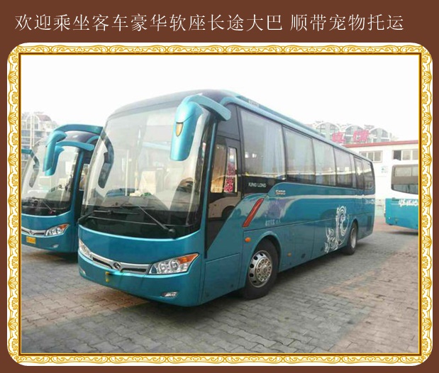 承德到海陽臥鋪大巴快捷方便