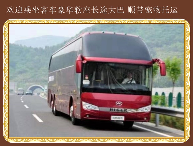 客車:蛟河到石島汽車客車歡迎致電