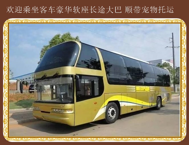 安圖到煙臺臥鋪客車歡迎來電咨詢