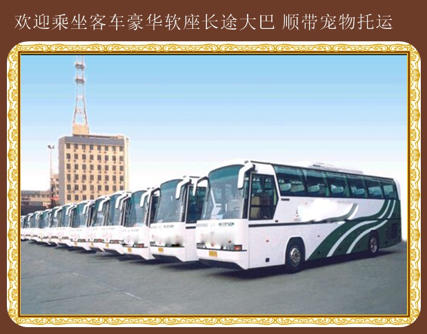 吉林到青州汽車大巴乘車線路表
