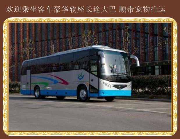 客車:敦化到日照直達(dá)大巴車安全放心