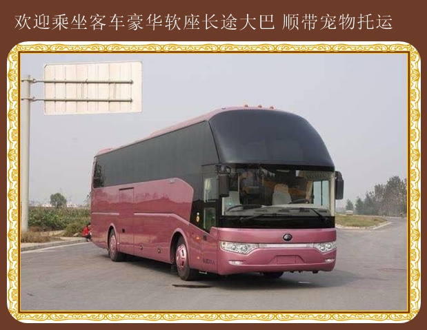 客車:牡丹江到蓬萊臥鋪汽車價格優(yōu)惠