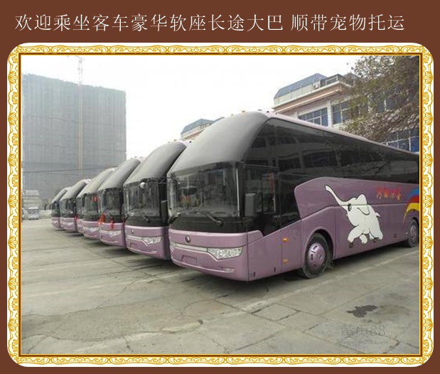 客車:張家口到濟(jì)南汽車大巴上車價(jià)格