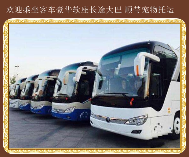 安圖到濰坊直達(dá)大巴車乘車線路表