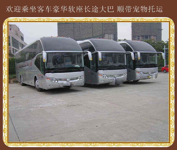 赤峰到無棣營運汽車班次咨詢