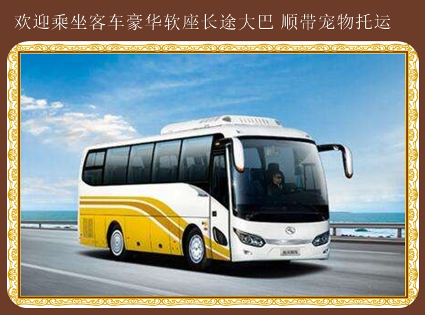 大連到蓬萊汽車客車快捷方便