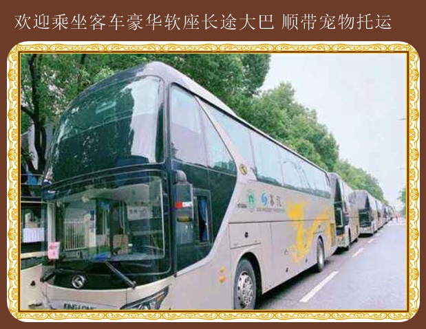 牡丹江到即墨客車汽車天天發車