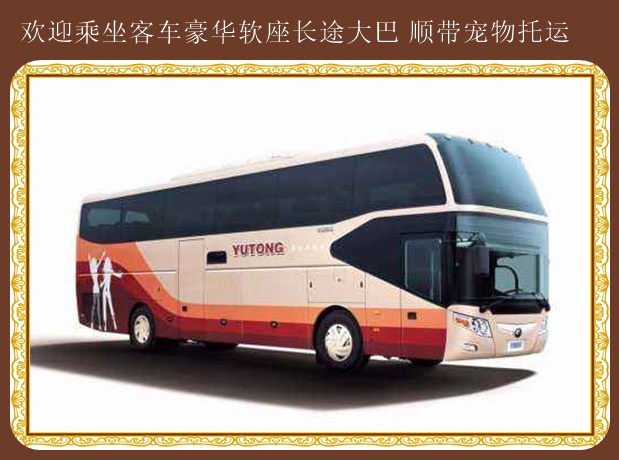 呼和浩特到招遠(yuǎn)客車汽車歡迎致電