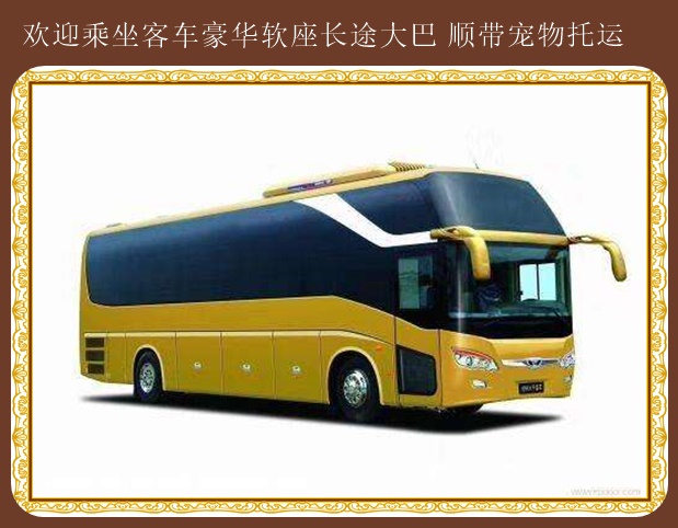 安圖到萊西豪華大巴歡迎您乘車