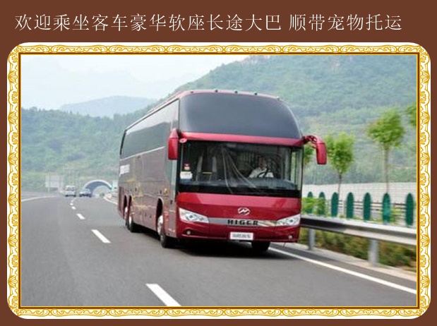 牡丹江到膠州長途大巴車查看