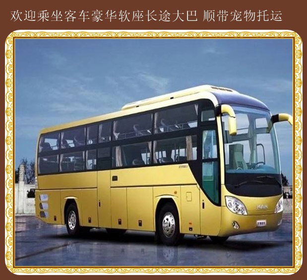 牡丹江到東營(yíng)大巴乘坐