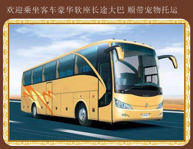客車:大連到無棣臥鋪汽車誠(chéng)信快客