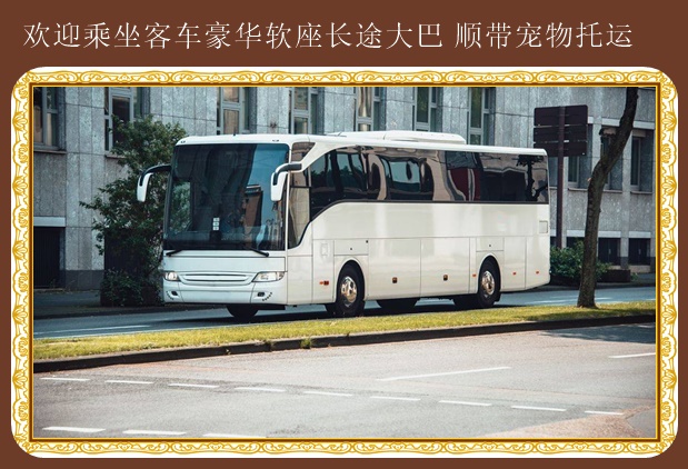 客車:哈爾濱到合肥臥鋪汽車客車在線