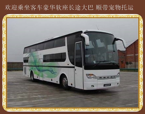 延吉到龍口長途汽車每天加班車