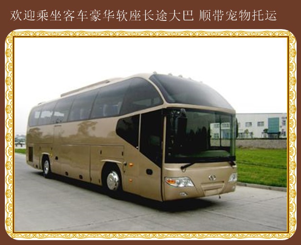 呼和浩特到招遠(yuǎn)客車汽車歡迎致電
