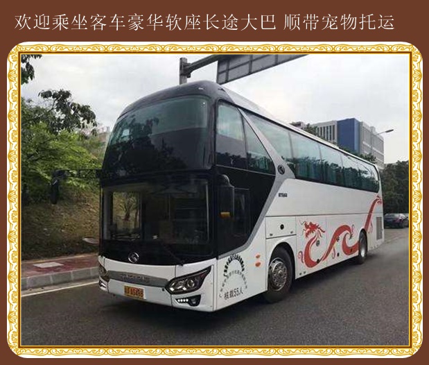 客車:吉林到寧波長(zhǎng)途汽車誠(chéng)信出行