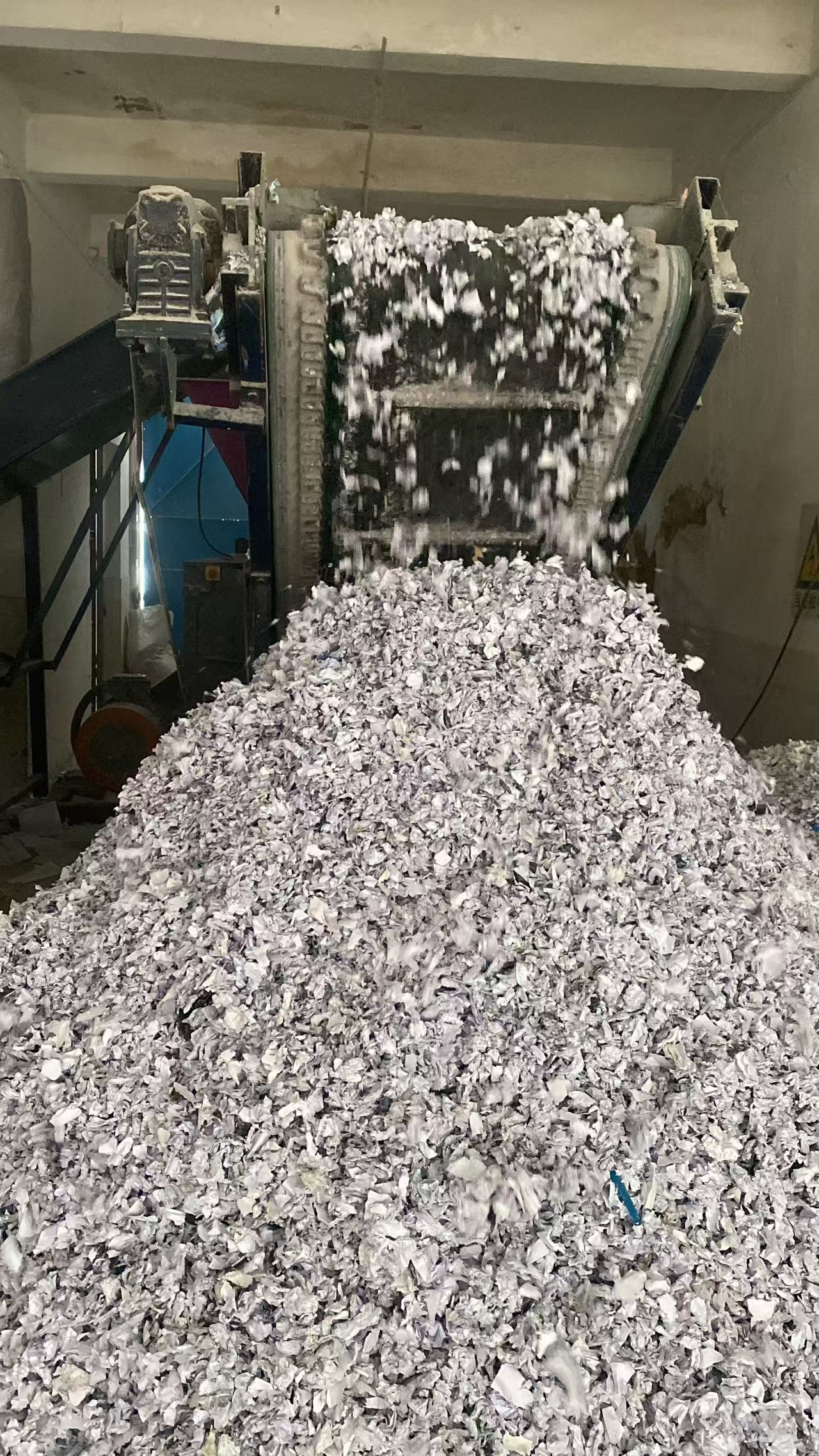 香港不合格毛絨玩具銷毀化妝品報廢中心/24小時服務(wù)