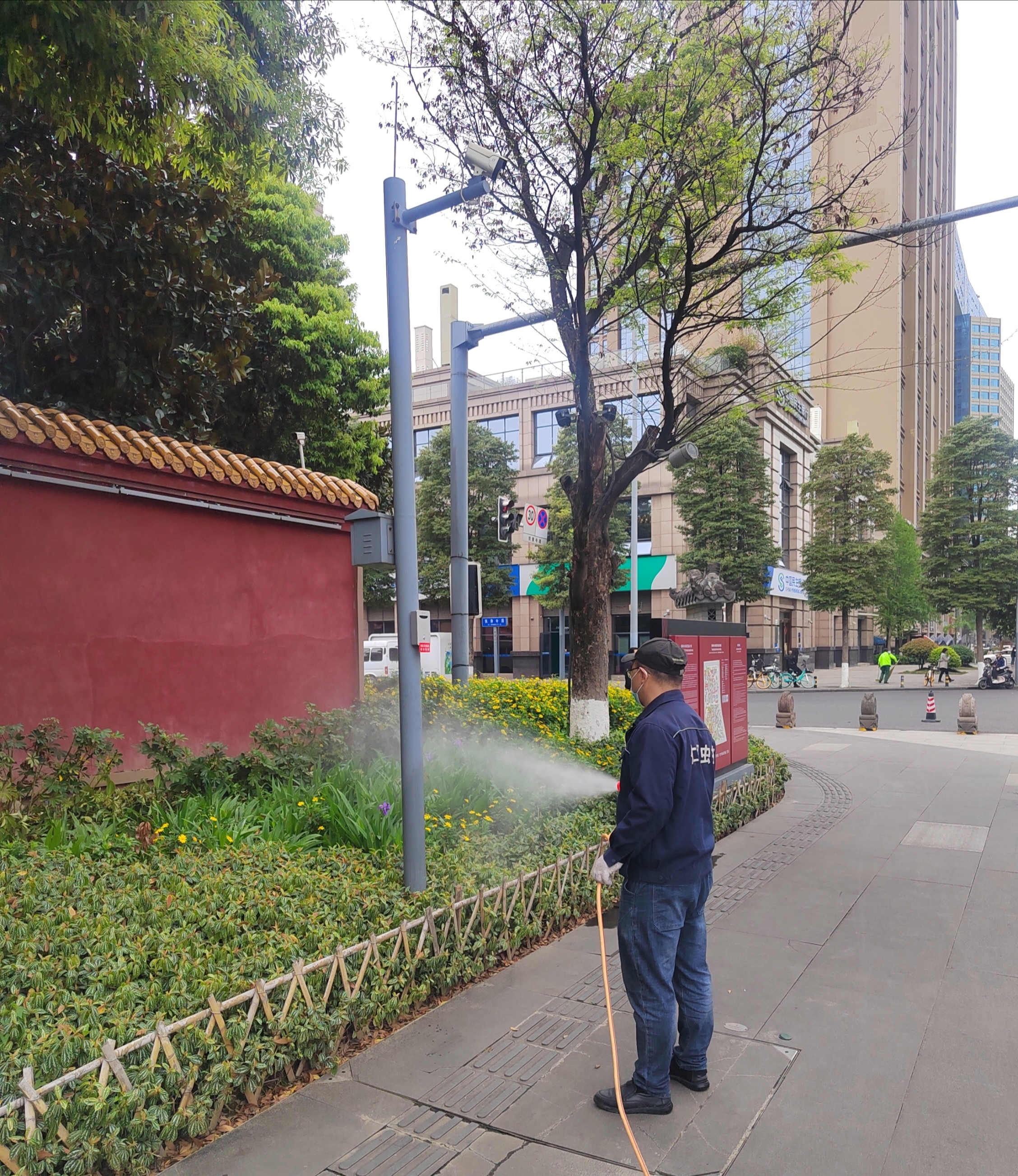 成都除千足蟲收費