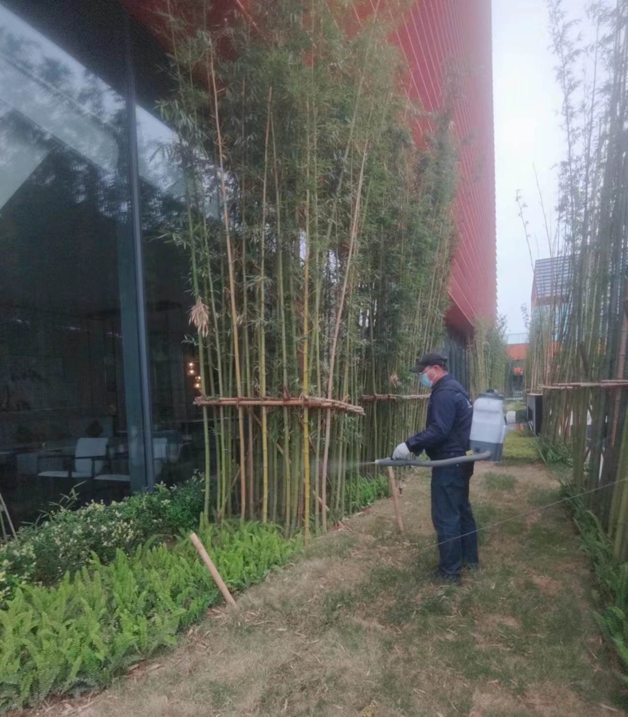 成都店鋪滅白蟻收費