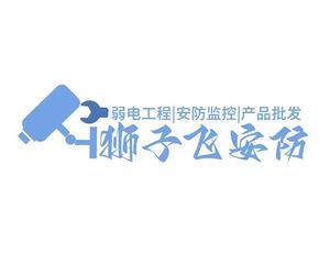 武汉狮子飞科技有限公司