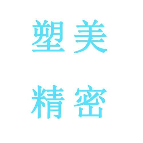 塑美精密技術(shù)(東莞)有限公司