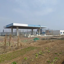 Shandong Tanggong Import and Export Co., Ltd. product image 11