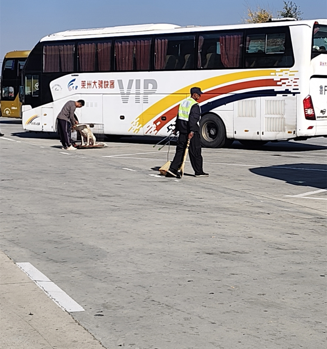 青島到滑縣的直達汽車長途大巴(常年發(fā)車團體包車)
