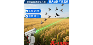 图片0
