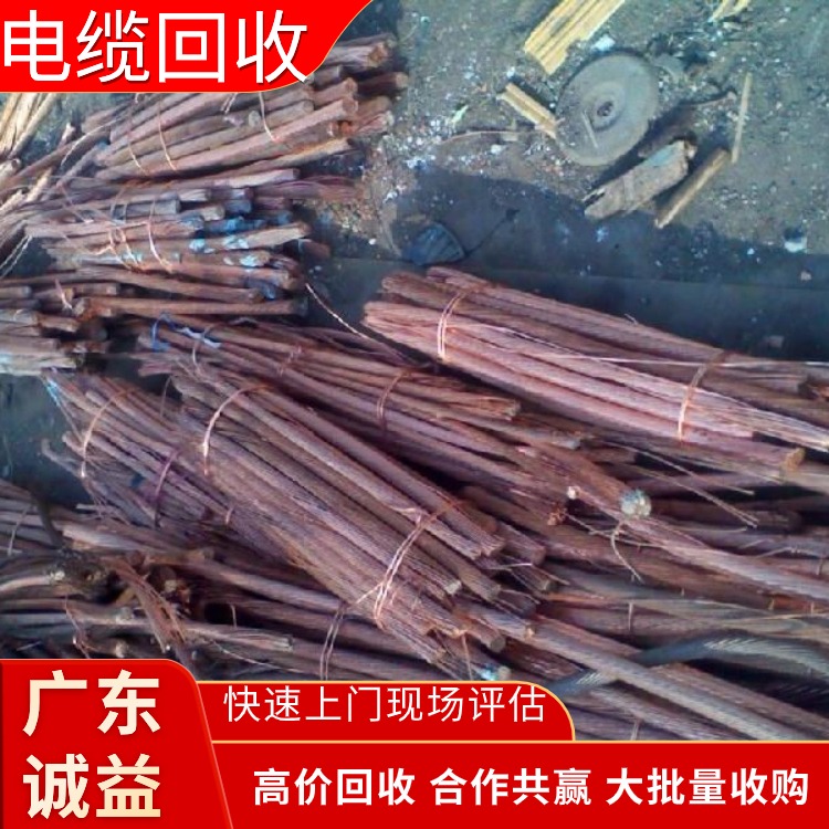 清遠市專注專注電纜回收公司現款結算