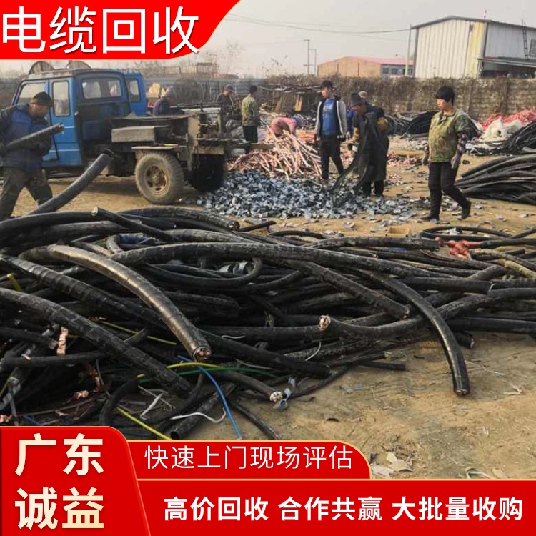 清遠市專注專注電纜回收公司現款結算