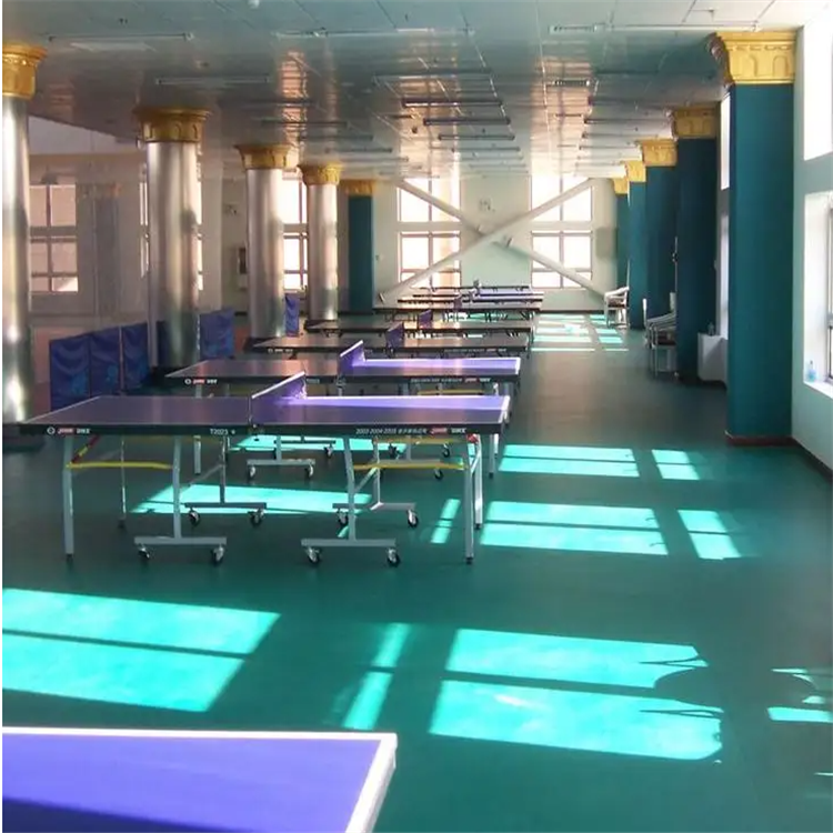 海南 舞蹈教室地膠 舞蹈房地膠 體育館地膠