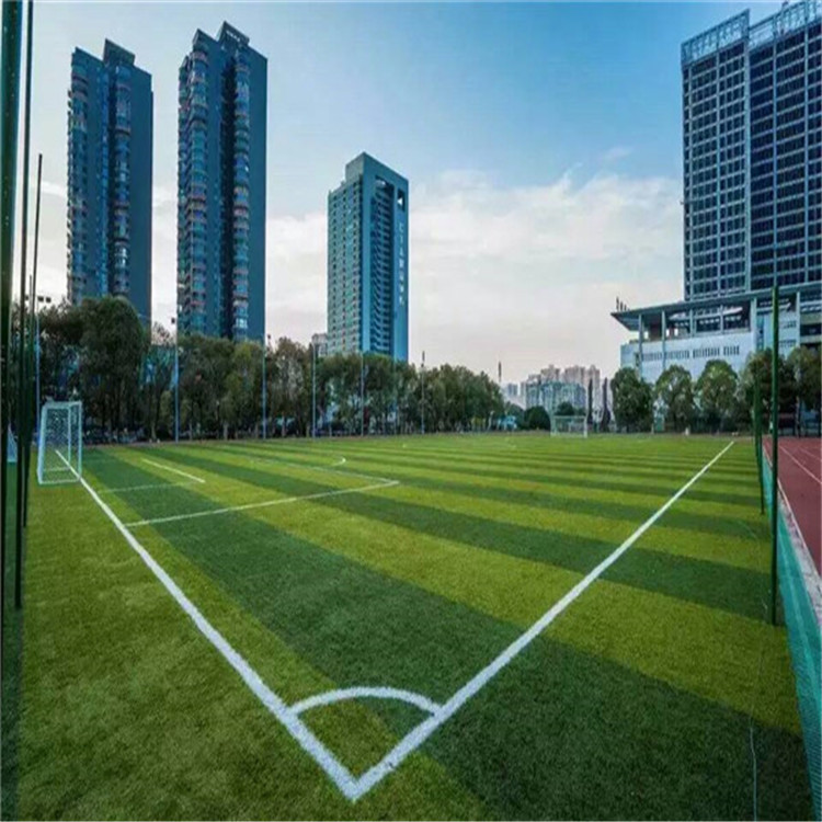武威 人工草坪 體育場仿真草坪 生產(chǎn)廠家