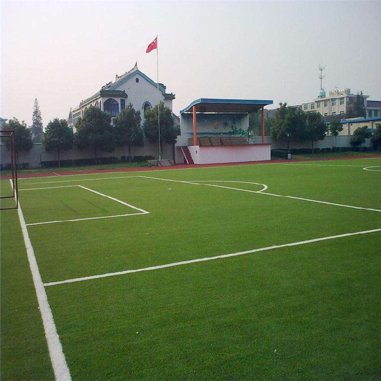運城 幼兒園草坪 體育場人造草坪 幼兒園彩虹草