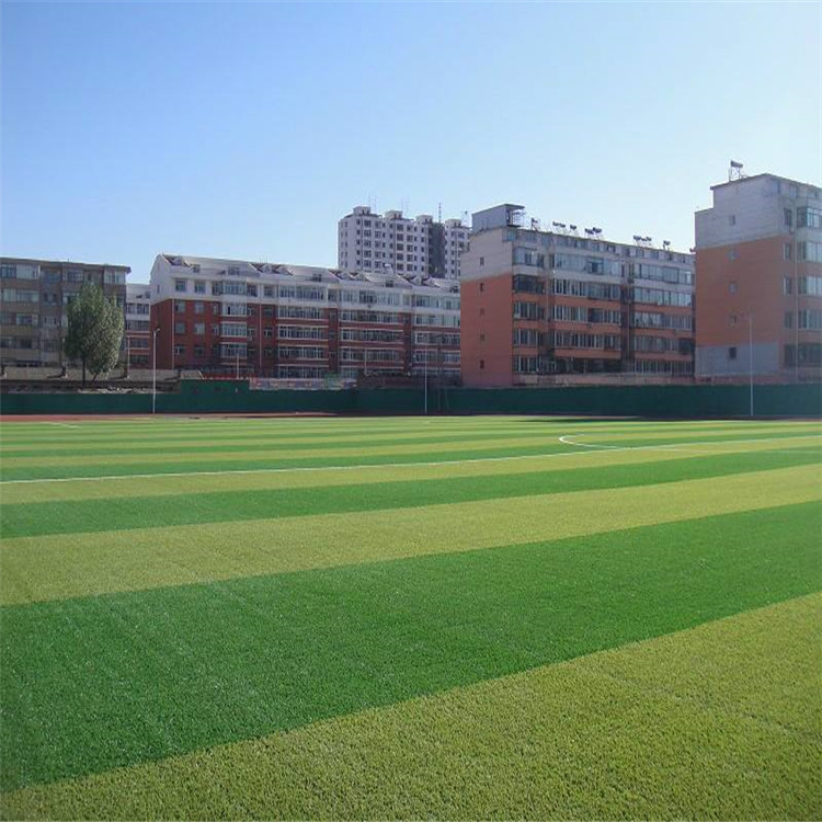 巢湖 幼兒園草坪 體育場(chǎng)人造草坪 市政圍擋草