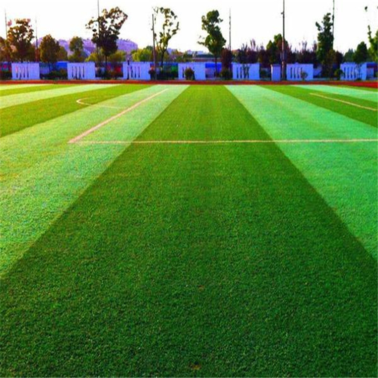 天水 仿真草坪 門球場(chǎng)人造草坪 運(yùn)動(dòng)草皮足球場(chǎng)