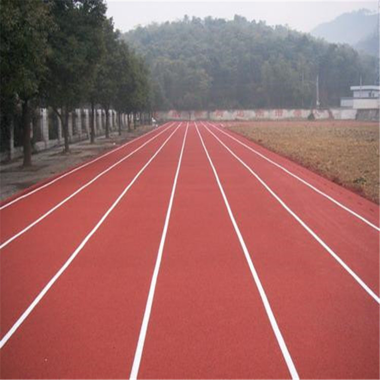 葫蘆島 新國(guó)標(biāo)塑膠跑道 混合型塑膠跑道 廠家直供