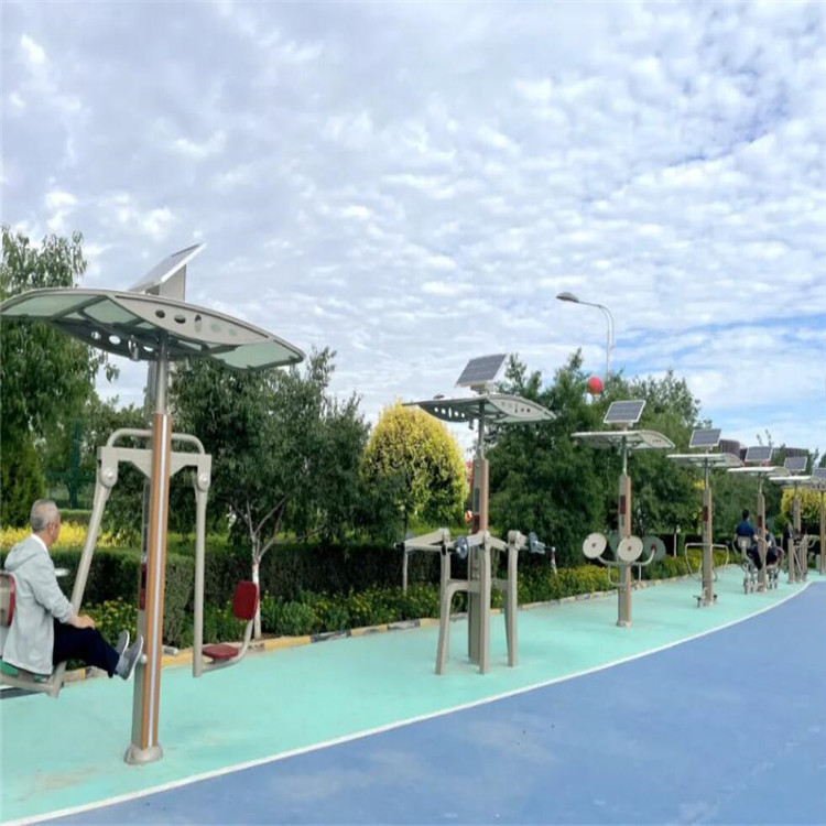 黃南 小區(qū)健身器材 廣場公園器材 雙人坐蹬秋千