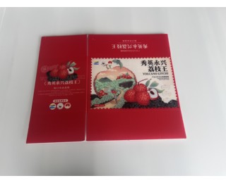 图片0