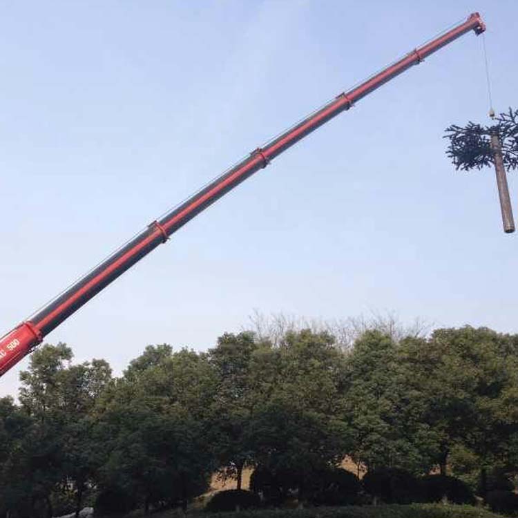佛山三水區叉車租賃 佛山三水區高空作業車出租 隨車吊出租