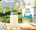 新疆骆驼乳粉自有牧场厂家直营含有益生菌/茶叶茶氨酸