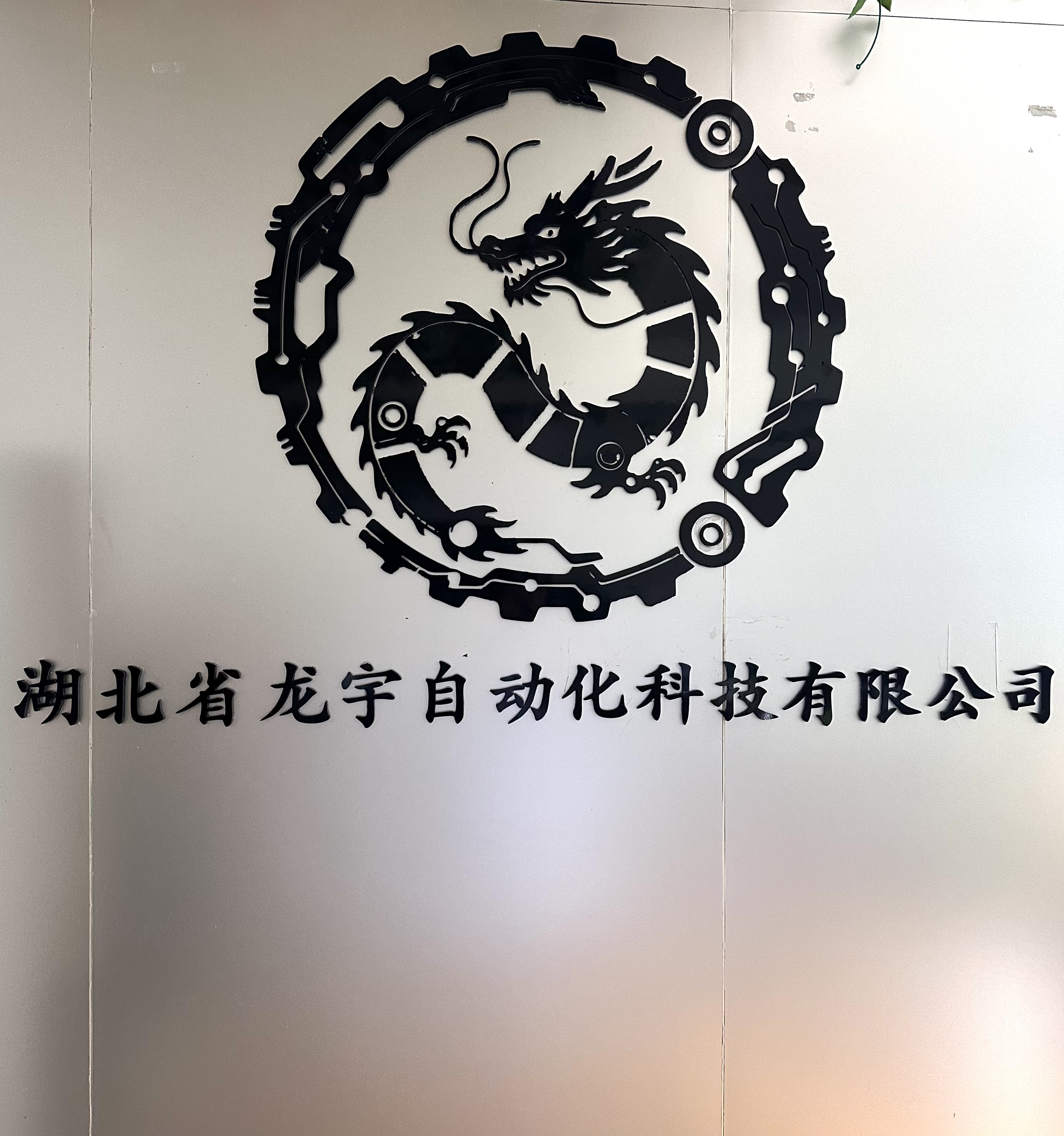 湖北省龍宇自動(dòng)化科技有限公司